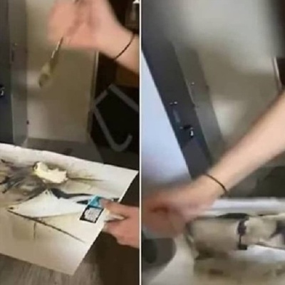 Kabataş Erkek Lisesi'nde Atatürk portresi soruşturması