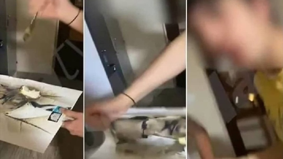 Kabataş Erkek Lisesi'nde Atatürk portresi soruşturması