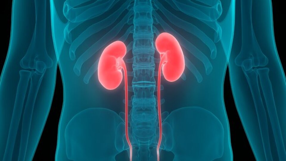 Küresel ısınma böbrek taşı riskini artırıyor