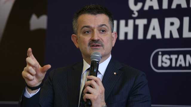 Orman ürünlerinde cari fazla beklentisi