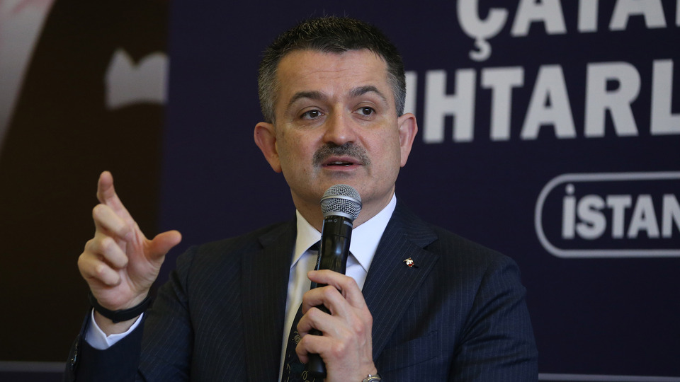 Orman ürünlerinde cari fazla beklentisi