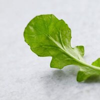 Rokanın bilinmeyen faydaları