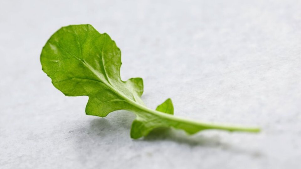 Rokanın bilinmeyen faydaları