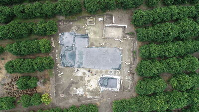 Bahçesinde tesadüfen bulmuştu! Kazıldıkça yenileri keşfediliyor!