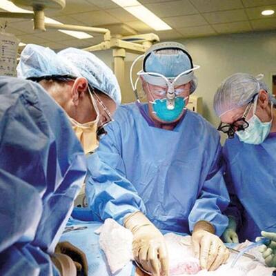 ABD'de domuzdan insana ilk kalp nakli yapıldı