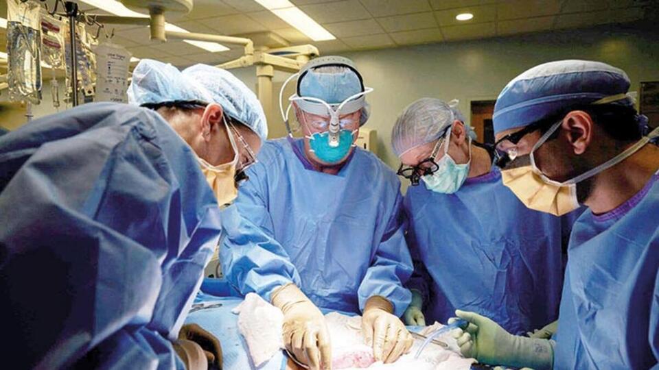 ABD'de domuzdan insana ilk kalp nakli yapıldı