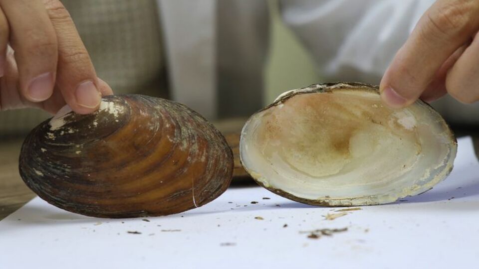 Ağrı ve Konya'da keşfedildi! Çalışmalar 10 yıl sürdü