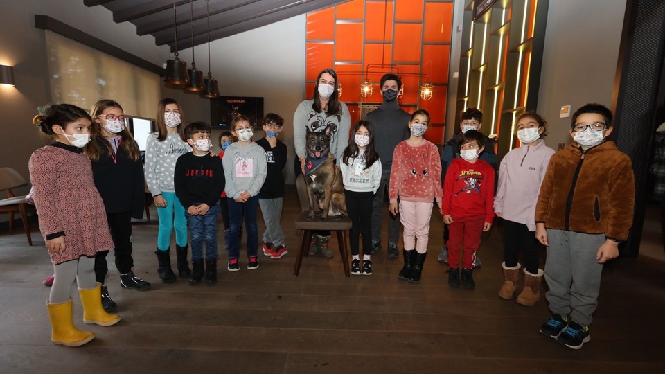 Sokak hayvanlarıyla güvenli iletişim kurma eğitimleri başladı