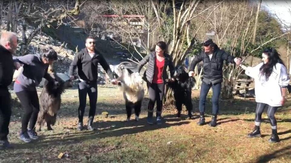 Artvin'de keçi horonu