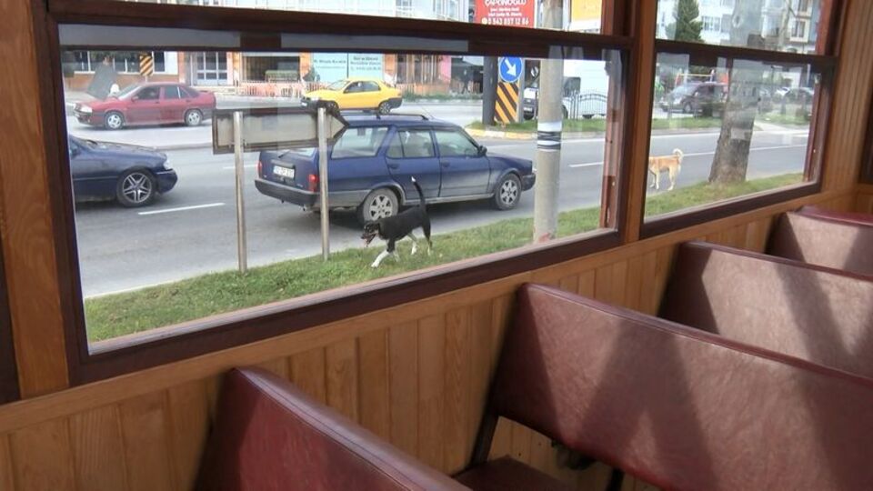 Son durağa kadar takip ediyor! Zil sesini duyunca...