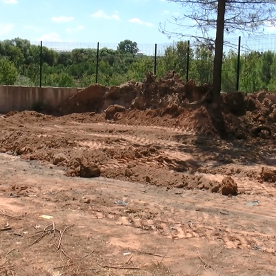 Köpekleri zehirleyip 'belediye yaptı' dediler!
