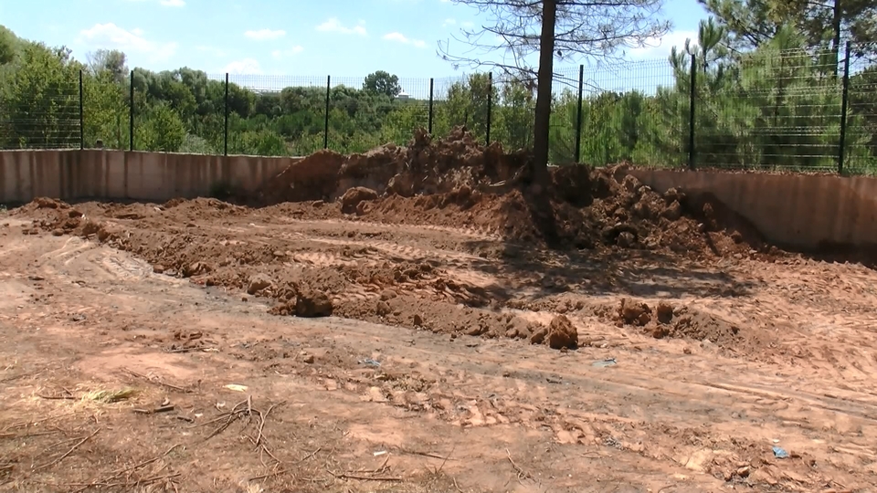 Köpekleri zehirleyip 'belediye yaptı' dediler!