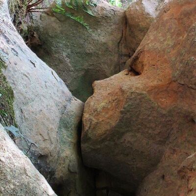 Bıçakla keserken fark etti! Sosyal medyada paylaştı