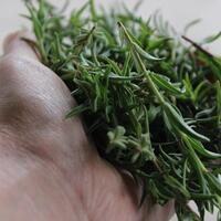 Dağ kekiğinin faydaları...