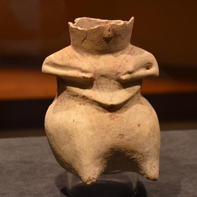 İlk kez görücüye çıktı... 8 bin 200 yaşında!