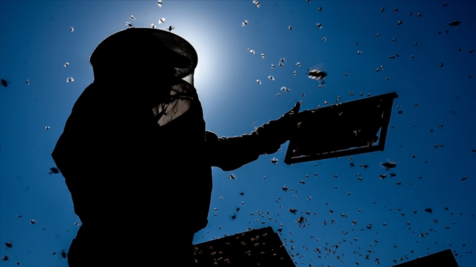 Pakdemirli'den kırsal kalkınmaya destek açıklaması