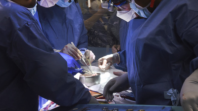 Domuzdan kalp nakli yapılan Bennett'in sabıkalı olduğu eleştirilerine hastaneden cevap