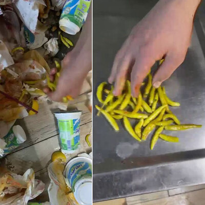 Çöpe atılan biberi müşteriye yedirdi!