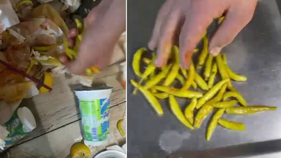 Çöpe atılan biberi müşteriye yedirdi!