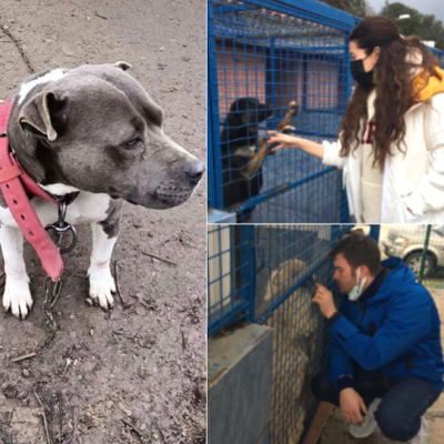 "Bu yavrumuz da artık bizimle!"