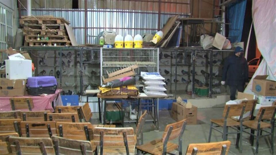 Akılalmaz kumar operasyonu! 100 gözaltı