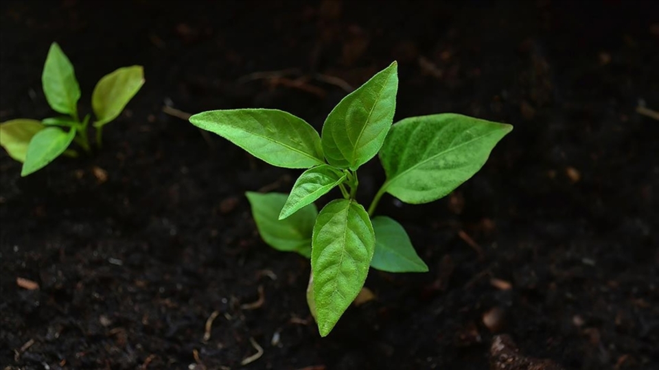 Deri sektörü yeşil dönüşüme hazırlanıyor