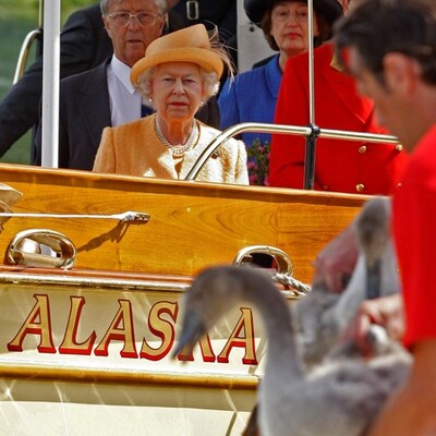 Kraliyette 'kuş gribi' endişesi