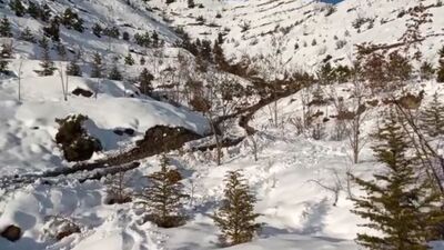 Cani koca 3 yıl sonra itiraf etti!