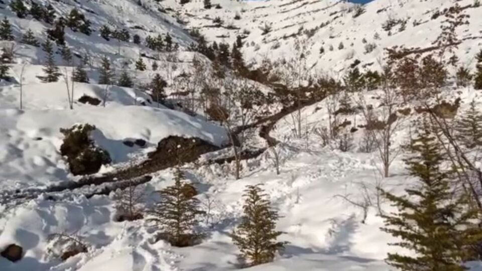 Cani koca 3 yıl sonra itiraf etti!