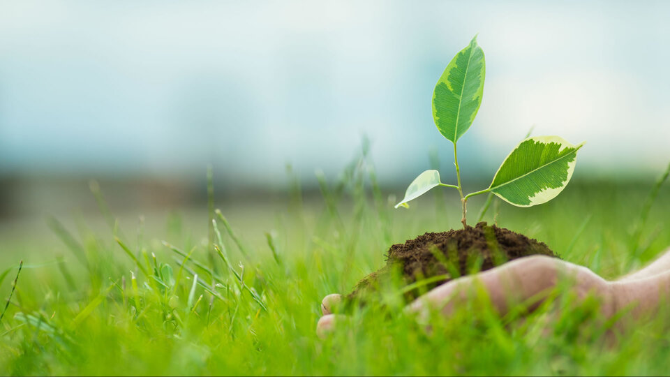 4 bine yakın tesise 350 milyon TL 'çevre' cezası