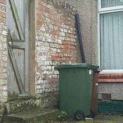 Fotoğrafta gizlendi! Peki siz fark edebildiniz mi?