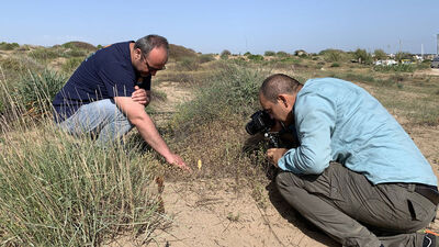 Dünyada sadece Antalya'da var! 5'i de koruma altında