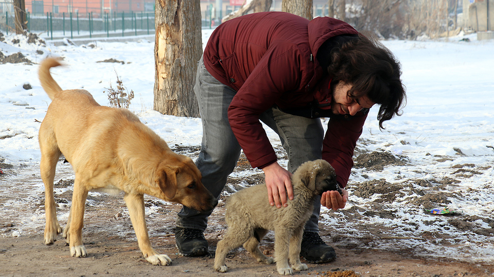 Soğuk havada sımsıcak ilgi