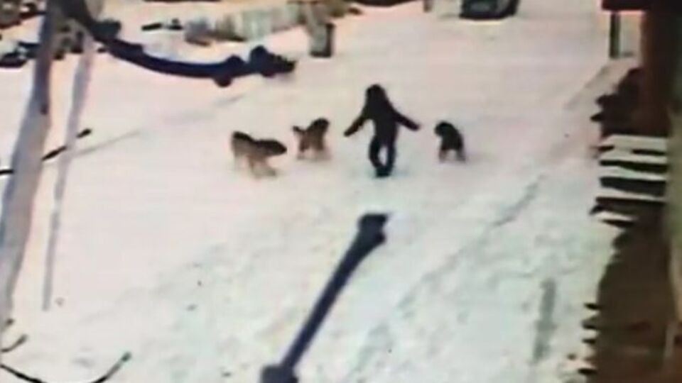 O anlar kamerada! Bir anda çevresi sarıldı! Nasıl kurtuldu?