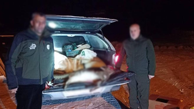 Erzurum'da yaban keçisi avına para cezası