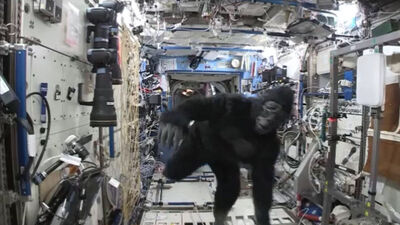 Uzayda goril kostümü giymişti: Nedenini açıkladı