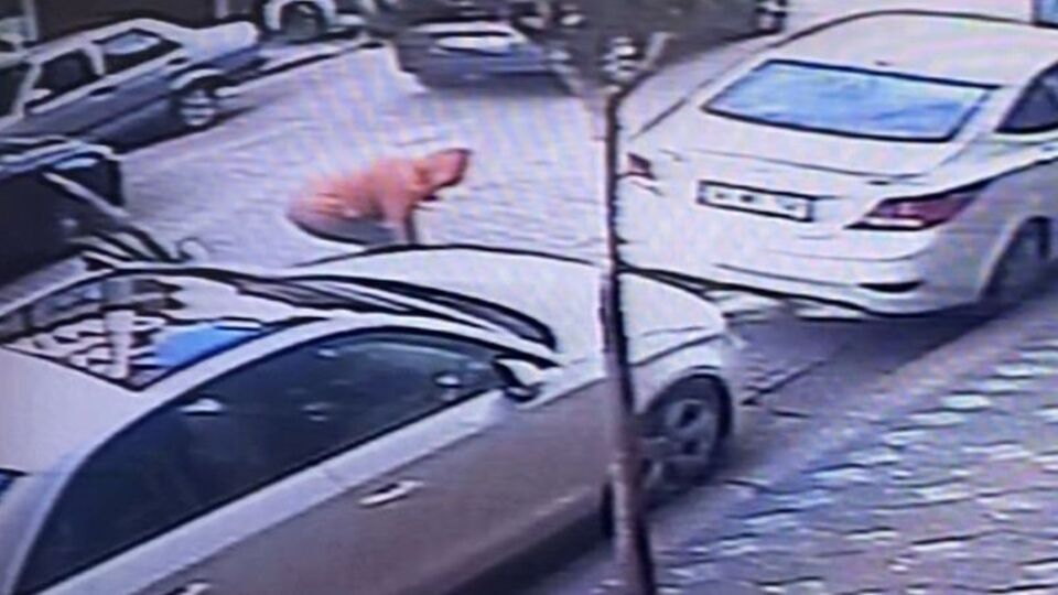 Kamyon sıkıştırdı! Parmaklarını topladı!