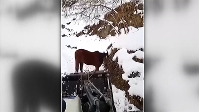 Operatörün atla gülümseten sohbeti!