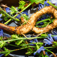 Hindiba otunun faydaları