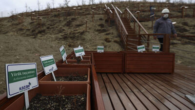 6 endemik bitki türü koruma altına alındı