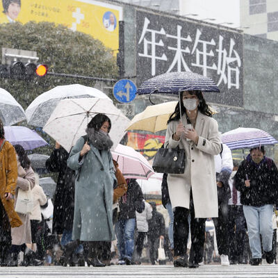 Japonya'da vaka sayıları 8 kat arttı