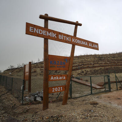 Endemik türleri yerinde koruyor