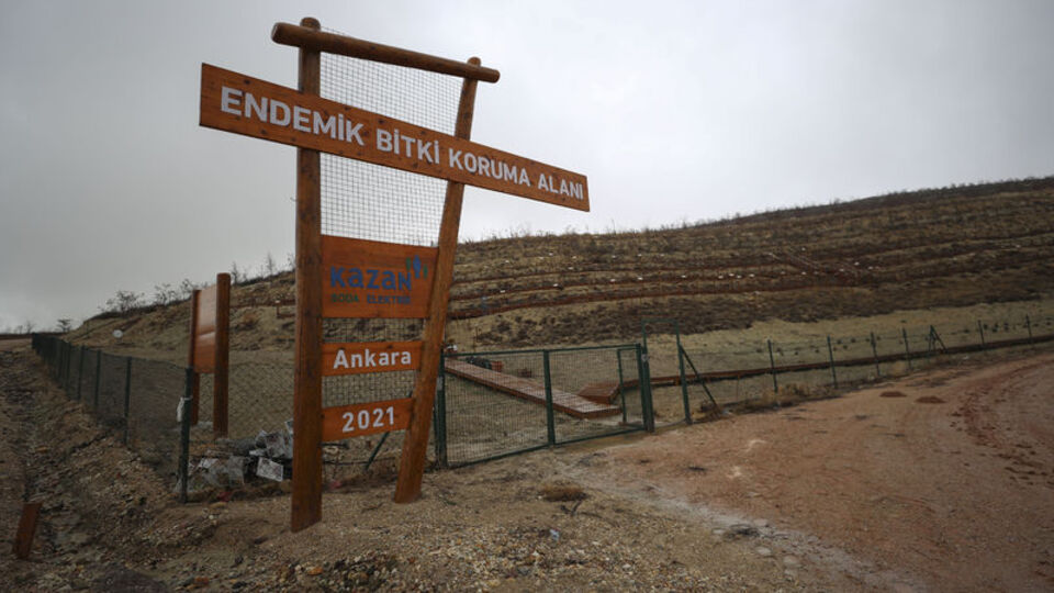 Endemik türleri yerinde koruyor