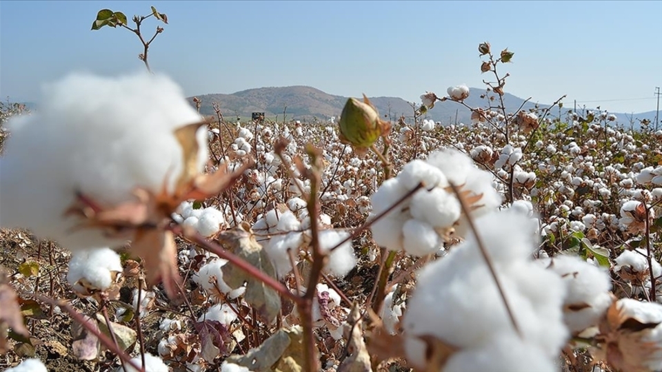 Emtia fiyatları zirve tazeledi