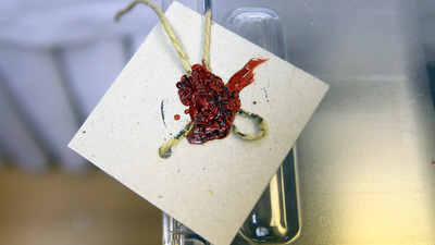 Seçim Yasası'nda son durum