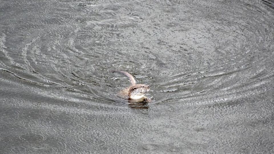 Vali, "Gerçekten gizemli" notuyla paylaştı!