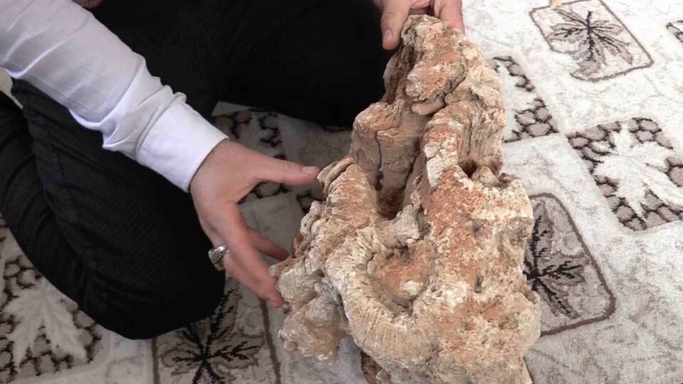 Temizledikten sonra fark etti! Evinde sergiliyor