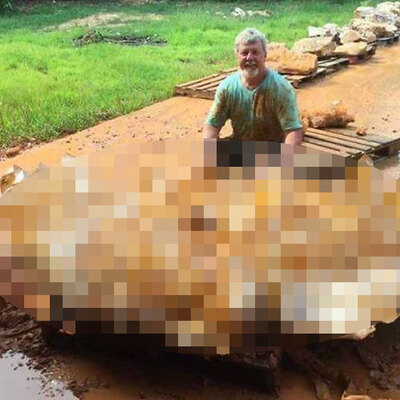 Kabuğundan çıktı... Tam zamanında görüntülendi