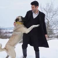 Murat Yıldırım'ın hayvan sevgisi