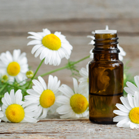 Papatya yağının faydaları